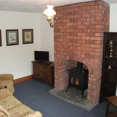 Bryn Cottage Llandderfel المظهر الخارجي الصورة