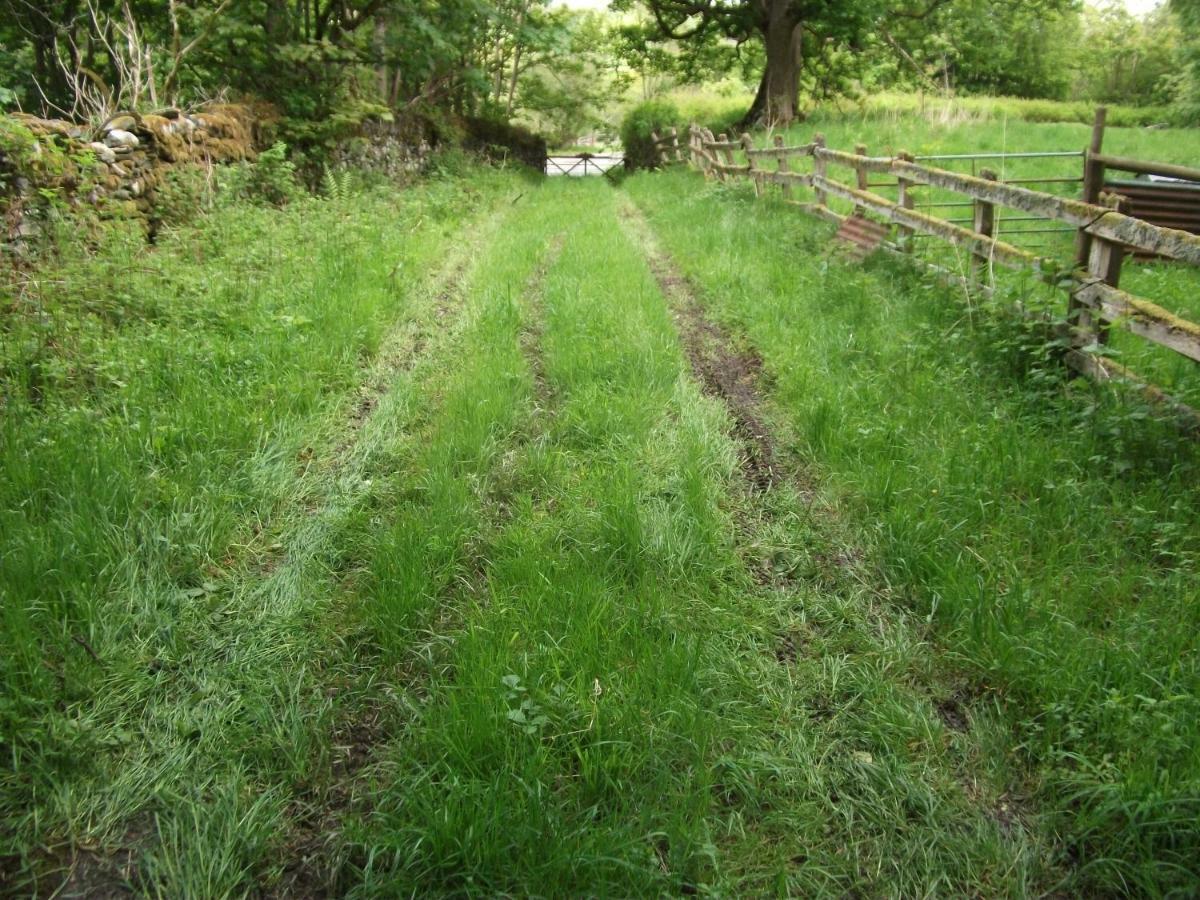Bryn Cottage Llandderfel المظهر الخارجي الصورة